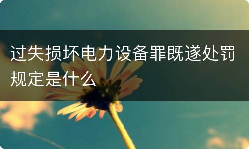 过失损坏电力设备罪既遂处罚规定是什么