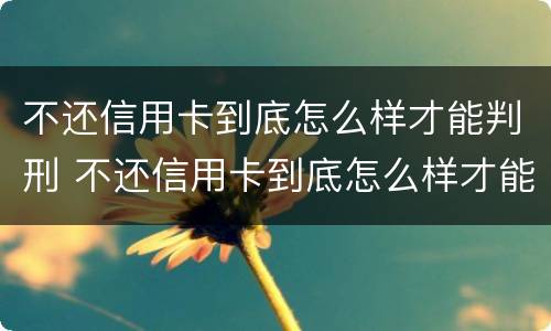 不还信用卡到底怎么样才能判刑 不还信用卡到底怎么样才能判刑呀