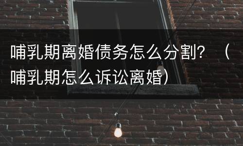 哺乳期离婚债务怎么分割？（哺乳期怎么诉讼离婚）