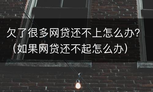 欠了很多网贷还不上怎么办？（如果网贷还不起怎么办）