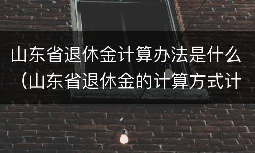 山东省退休金计算办法是什么（山东省退休金的计算方式计算公式）