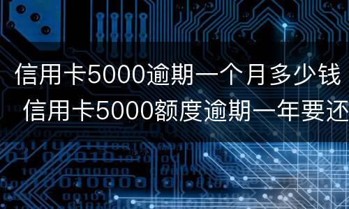 信用卡5000逾期一个月多少钱 信用卡5000额度逾期一年要还多少钱