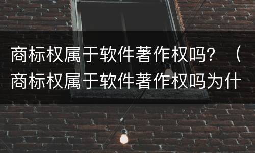 商标权属于软件著作权吗？（商标权属于软件著作权吗为什么）