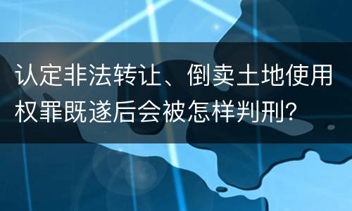 认定非法转让、倒卖土地使用权罪既遂后会被怎样判刑？