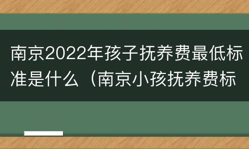 南京2022年孩子抚养费最低标准是什么（南京小孩抚养费标准一月多少钱）