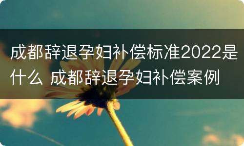 成都辞退孕妇补偿标准2022是什么 成都辞退孕妇补偿案例