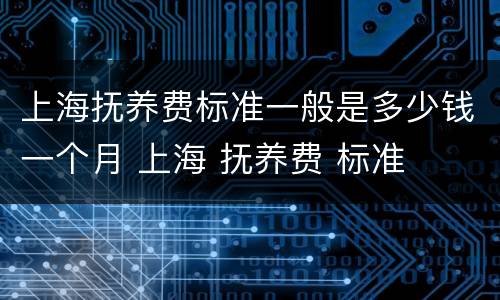 上海抚养费标准一般是多少钱一个月 上海 抚养费 标准