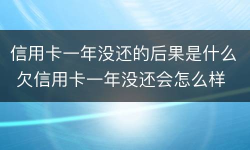 信用卡一年没还的后果是什么 欠信用卡一年没还会怎么样