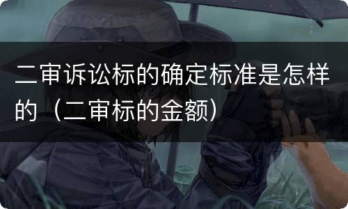 二审诉讼标的确定标准是怎样的（二审标的金额）