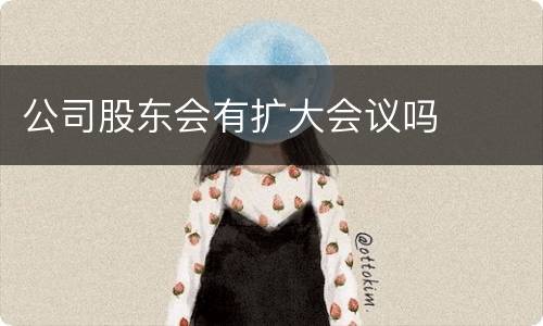 公司股东会有扩大会议吗