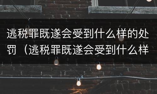 逃税罪既遂会受到什么样的处罚（逃税罪既遂会受到什么样的处罚呢）