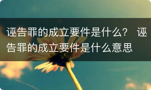 诬告罪的成立要件是什么? 诬告罪的成立要件是什么意思