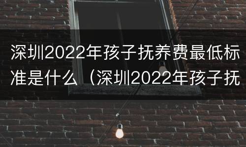 深圳2022年孩子抚养费最低标准是什么（深圳2022年孩子抚养费最低标准是什么呢）
