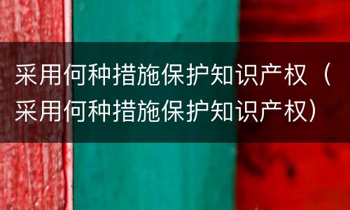 采用何种措施保护知识产权（采用何种措施保护知识产权）