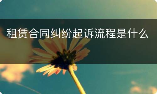 租赁合同纠纷起诉流程是什么