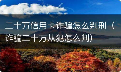二十万信用卡诈骗怎么判刑（诈骗二十万从犯怎么判）