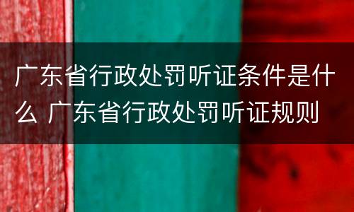 广东省行政处罚听证条件是什么 广东省行政处罚听证规则