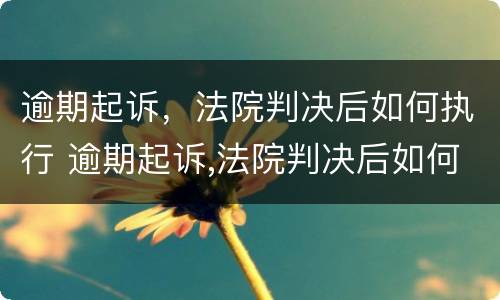 逾期起诉，法院判决后如何执行 逾期起诉,法院判决后如何执行呢
