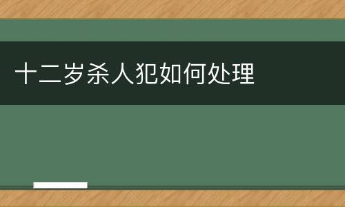 十二岁杀人犯如何处理