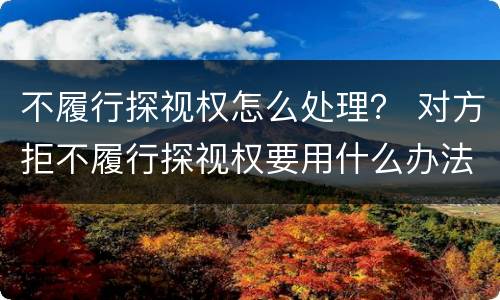 不履行探视权怎么处理？ 对方拒不履行探视权要用什么办法