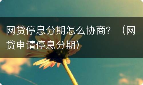 网贷停息分期怎么协商？（网贷申请停息分期）