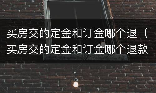 买房交的定金和订金哪个退（买房交的定金和订金哪个退款快）