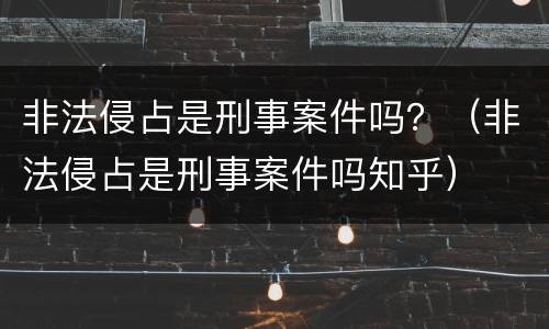 非法侵占是刑事案件吗？（非法侵占是刑事案件吗知乎）