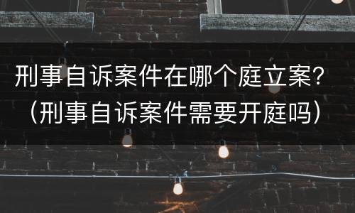 刑事自诉案件在哪个庭立案？（刑事自诉案件需要开庭吗）