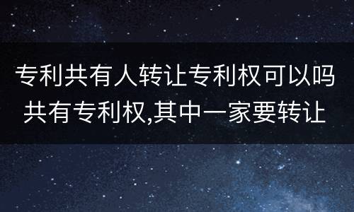 专利共有人转让专利权可以吗 共有专利权,其中一家要转让,可以吗?