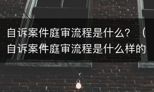 自诉案件庭审流程是什么？（自诉案件庭审流程是什么样的）
