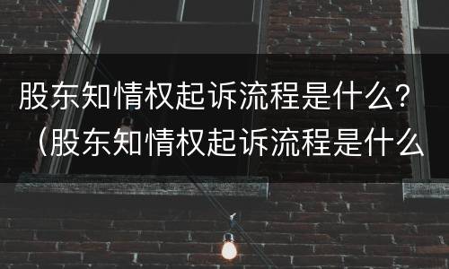 股东知情权起诉流程是什么？（股东知情权起诉流程是什么样的）