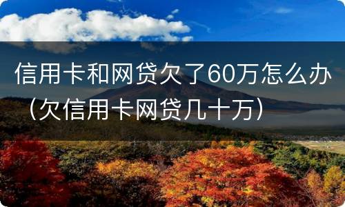信用卡和网贷欠了60万怎么办（欠信用卡网贷几十万）