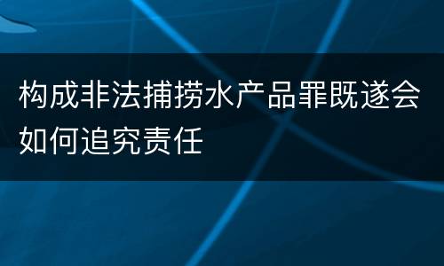 构成非法捕捞水产品罪既遂会如何追究责任