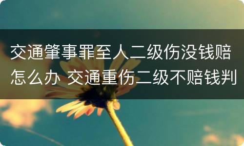 交通肇事罪至人二级伤没钱赔怎么办 交通重伤二级不赔钱判几年
