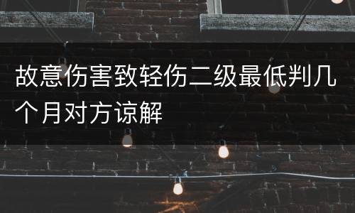 故意伤害致轻伤二级最低判几个月对方谅解
