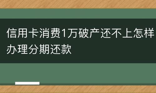 信用卡消费1万破产还不上怎样办理分期还款