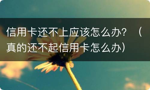 信用卡还不上应该怎么办？（真的还不起信用卡怎么办）