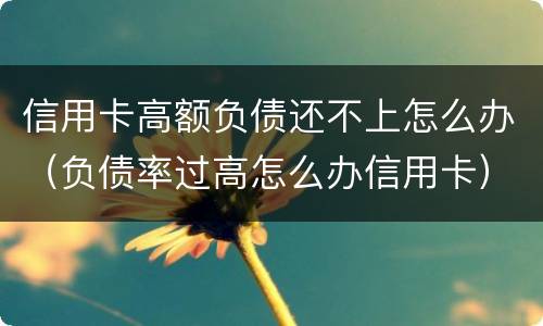 信用卡高额负债还不上怎么办（负债率过高怎么办信用卡）
