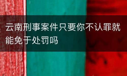 云南刑事案件只要你不认罪就能免于处罚吗