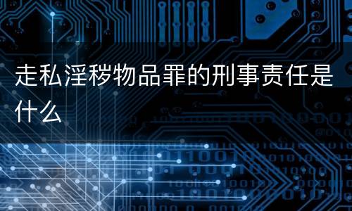 走私淫秽物品罪的刑事责任是什么