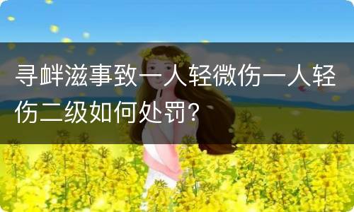 寻衅滋事致一人轻微伤一人轻伤二级如何处罚？