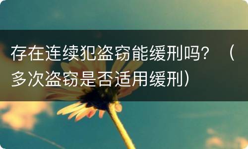 存在连续犯盗窃能缓刑吗？（多次盗窃是否适用缓刑）