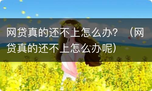 网贷真的还不上怎么办？（网贷真的还不上怎么办呢）