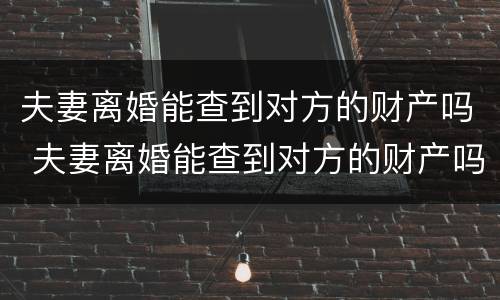 夫妻离婚能查到对方的财产吗 夫妻离婚能查到对方的财产吗怎么查