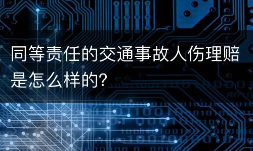 同等责任的交通事故人伤理赔是怎么样的？