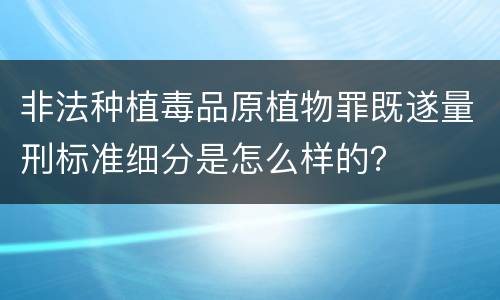 非法种植毒品原植物罪既遂量刑标准细分是怎么样的？