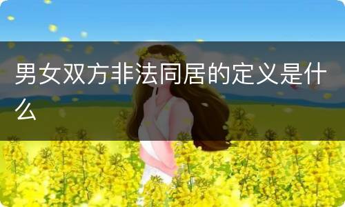 男女双方非法同居的定义是什么