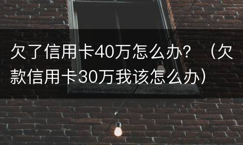 欠了信用卡40万怎么办？（欠款信用卡30万我该怎么办）
