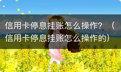 信用卡停息挂账怎么操作？（信用卡停息挂账怎么操作的）