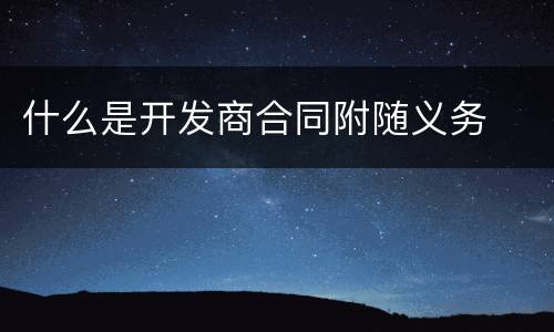 什么是开发商合同附随义务